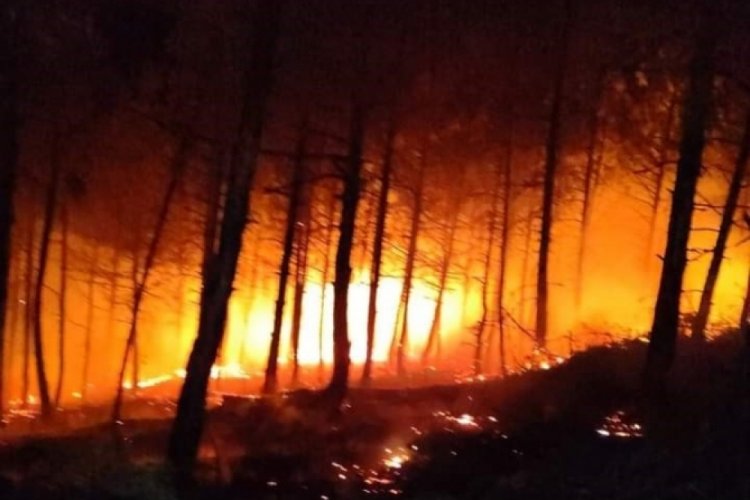 Bolu'da ormanlık alanda yangın &ccedil;ıktı