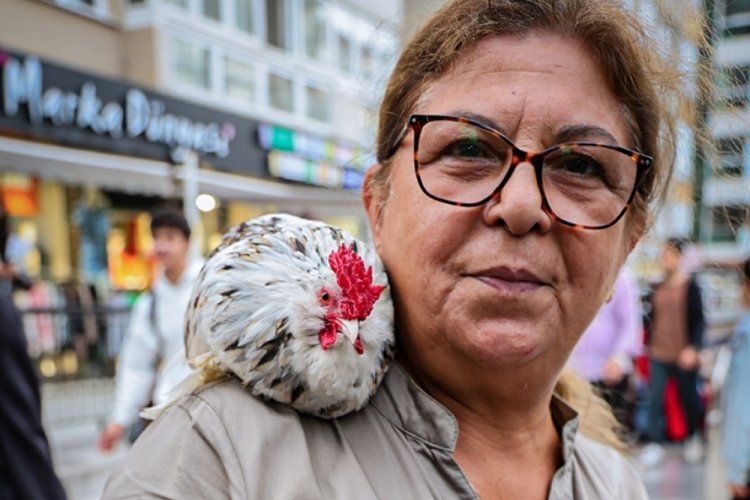 'Horoz bıdık' sahibinin omuzundan hi&ccedil; inmiyor