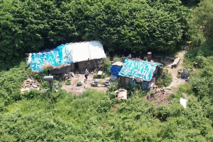 Bursa'da Uludağ eteklerinde 10 yıl tek başına yaşıyor