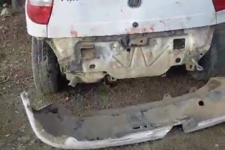 Ayı otomobilin camını kırıp i&ccedil;ine girdi