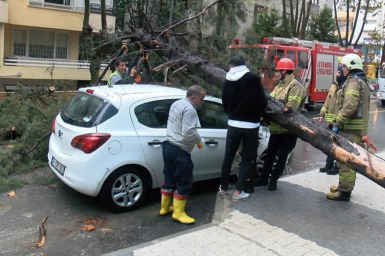İstanbul'da &ccedil;am ağacı, otomobilin &uuml;zerine devrildi