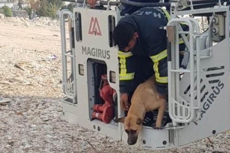 Hatay'da hasarlı binada mahsur kalan k&ouml;pek kurtarıldı