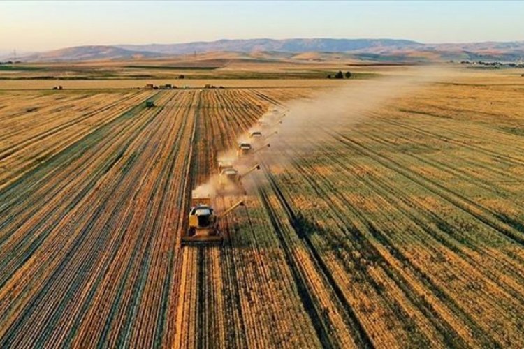 Tarım-&Uuml;FE yıllık y&uuml;zde 62,56 arttı