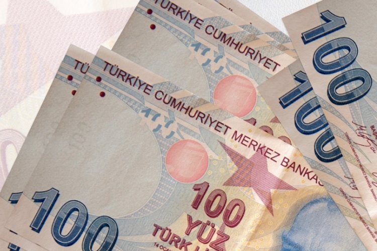 &Uuml;cretli &ccedil;alışan sayısı yıllık y&uuml;zde 3 arttı