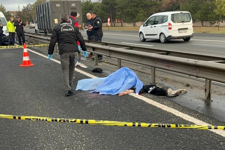 Tekirdağ'da otomobilin &ccedil;aptığı G&uuml;lşah, k&ouml;peğiyle birlikte &ouml;ld&uuml;!