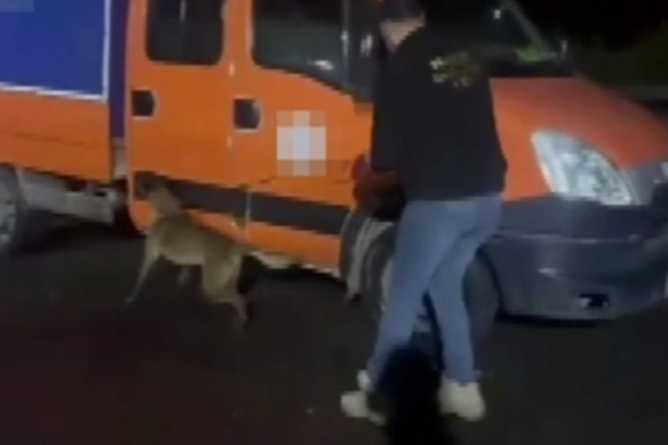 Gaziantep'te 28 kilo skunk ele ge&ccedil;irildi