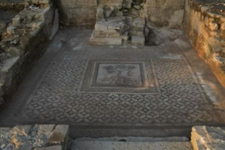 Konuralp Antik Kentinde 'aslanlı mozaik' ortaya &ccedil;ıkarıldı