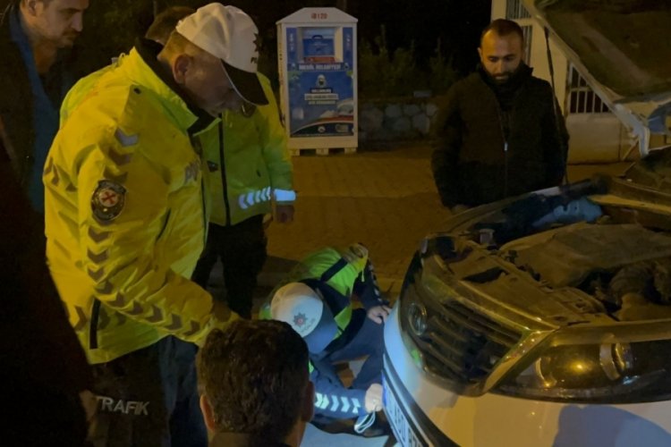 Bursa'da polisin dikkati kediyi kurtardı!
