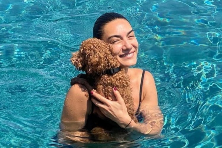 Hande Subaşı: Bir &ccedil;ocuğa bakacağıma 10 tane k&ouml;peğe bakabilirim