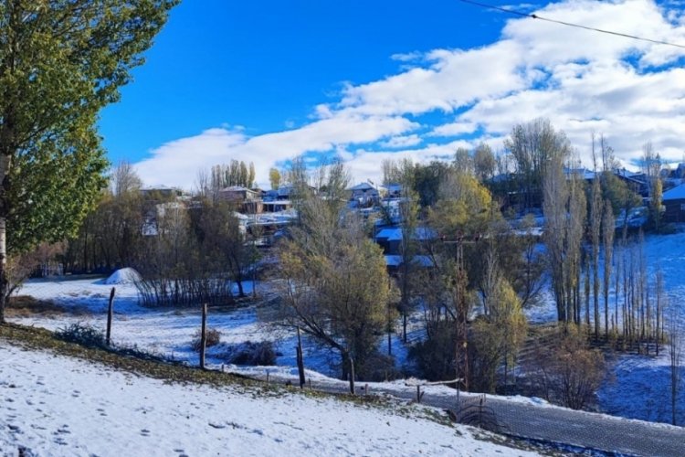 Bitlis Ahlat'ta mevsimin ilk karı yağdı
