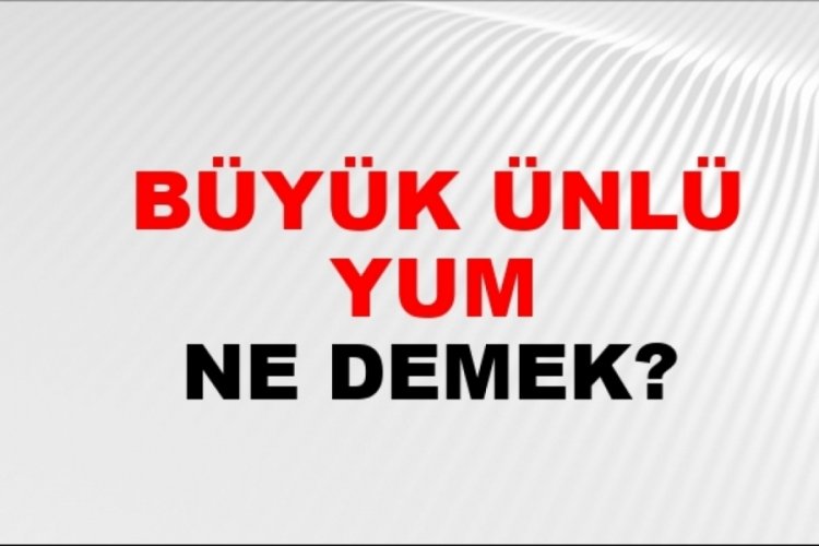 Büyük ünlü uyumu nedir?