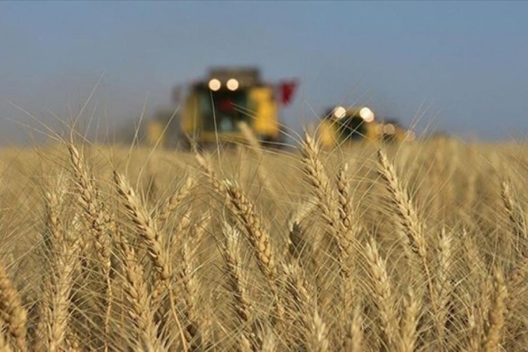 Tarımsal destekleme &ouml;demeleri &ccedil;ift&ccedil;ilerin hesaplarına bug&uuml;n aktarılacak