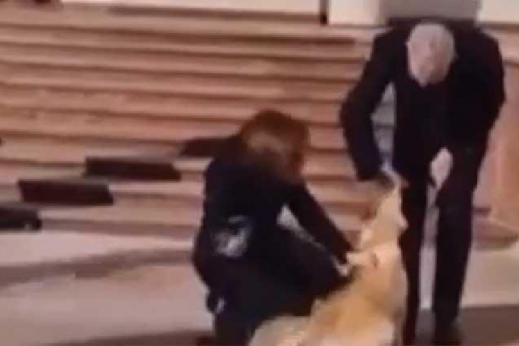 Moldova Cumhurbaşkanı'nın k&ouml;peği Avusturya Cumhurbaşkanı'nı ısırdı