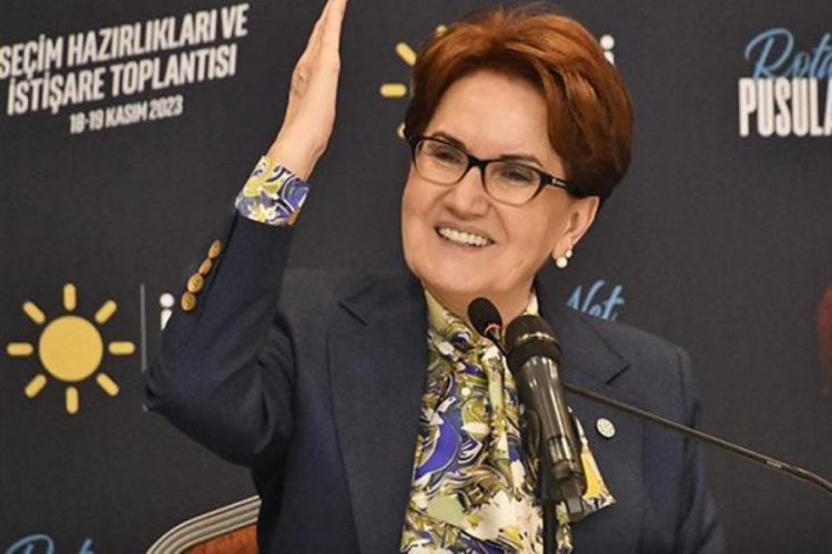 Meral Akşener: Vekil se&ccedil;ilirken sorununuz yoktu!