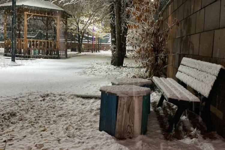 Bing&ouml;l'de kar yağışı başladı!