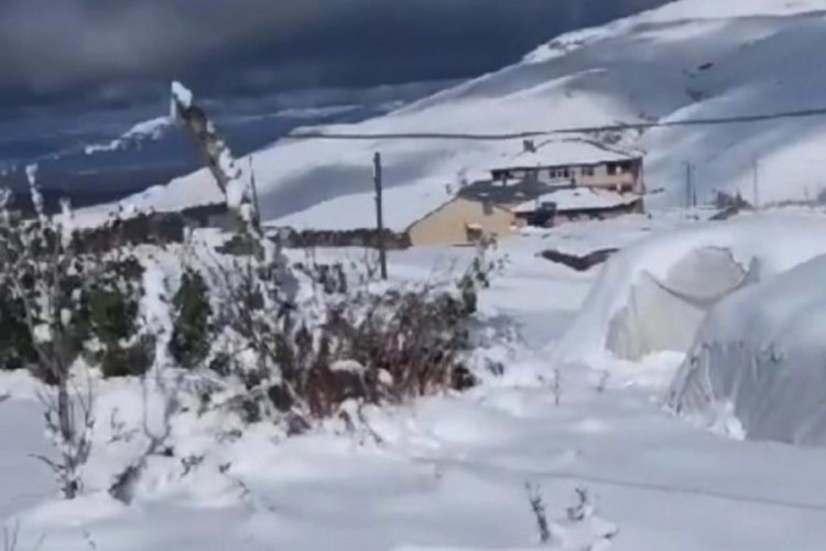 Ağrı'da k&ouml;yler kar altında kaldı