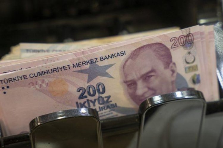 T&uuml;rk Lirası mevduat hesapları 6,5 ayın zirvesine &ccedil;ıktı!