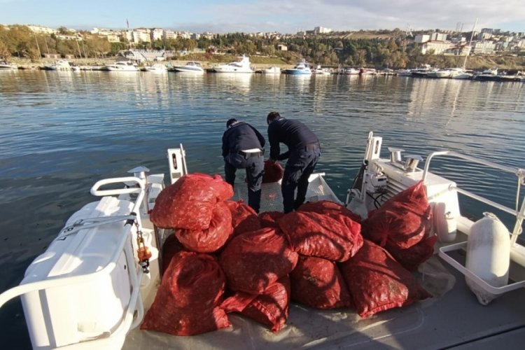 Tekirdağ'da 1 ton kum midyesine el konuldu