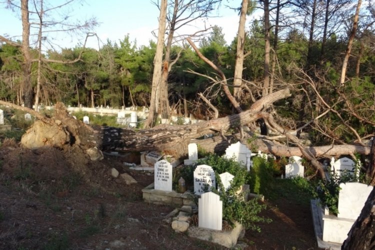 Şiddetli fırtınanın s&ouml;kt&uuml;ğ&uuml; ağa&ccedil; mezarları tahrip etti