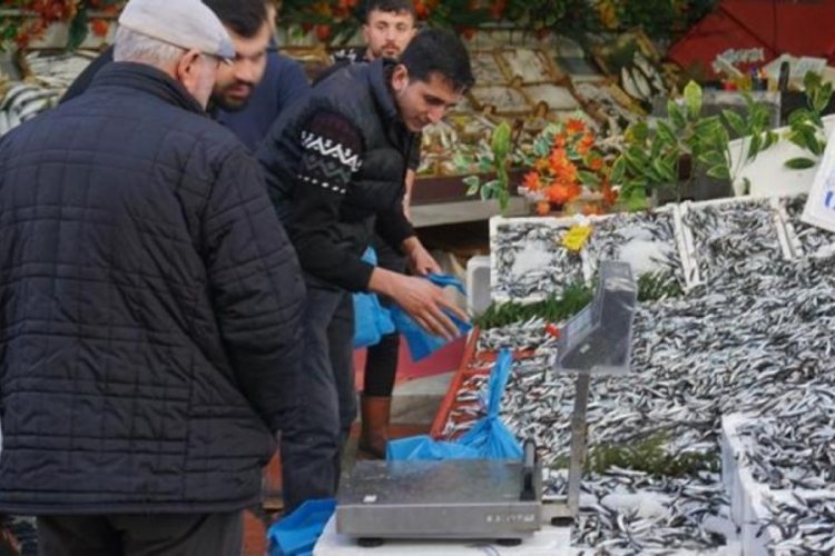 Hamsinin fiyatı d&uuml;şt&uuml;