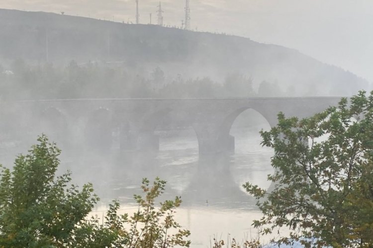 Diyarbakır'da sis etkili oldu