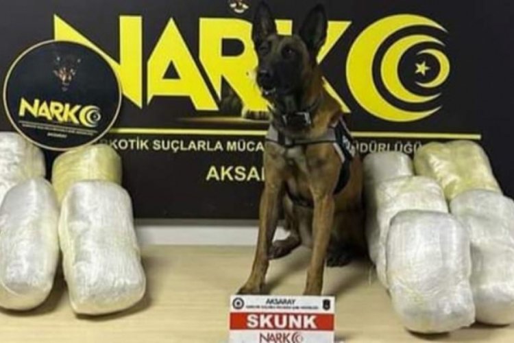 Aksaray'da narkotik k&ouml;peği Bixi buldu! Salatalıkların arasından uyuşturucu &ccedil;ıktı