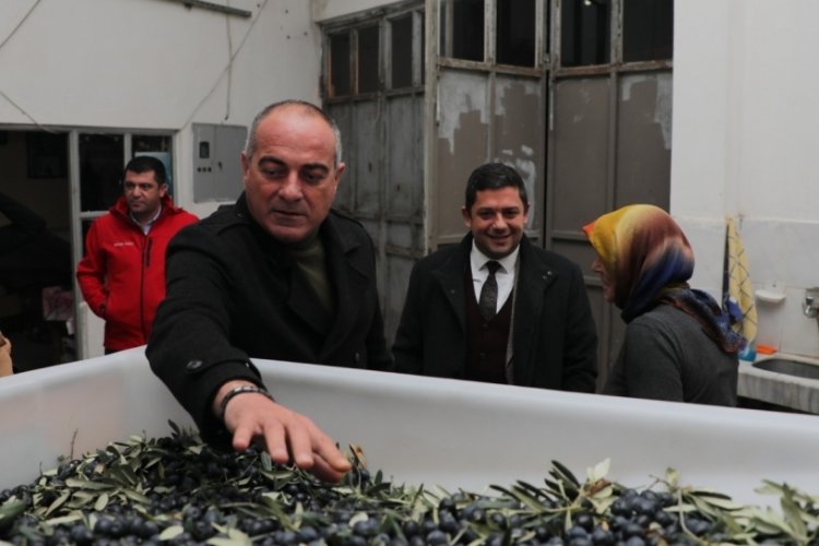 Gemlik Belediye Başkanı Sertaslan: Tarlada izimiz var