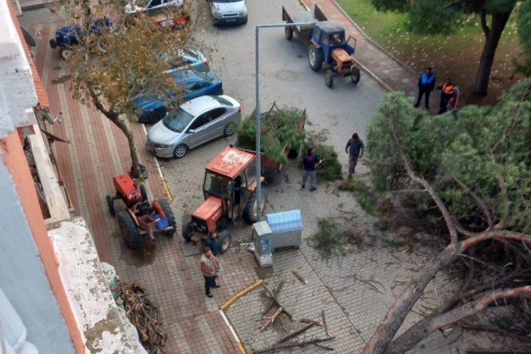 Kuvvetli fırtına ile gelen yağış Ayvalık'ı yıktı ge&ccedil;ti