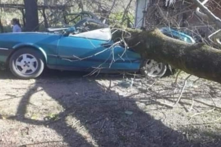 Ordu'da fırtına hayatı olumsuz etkiledi