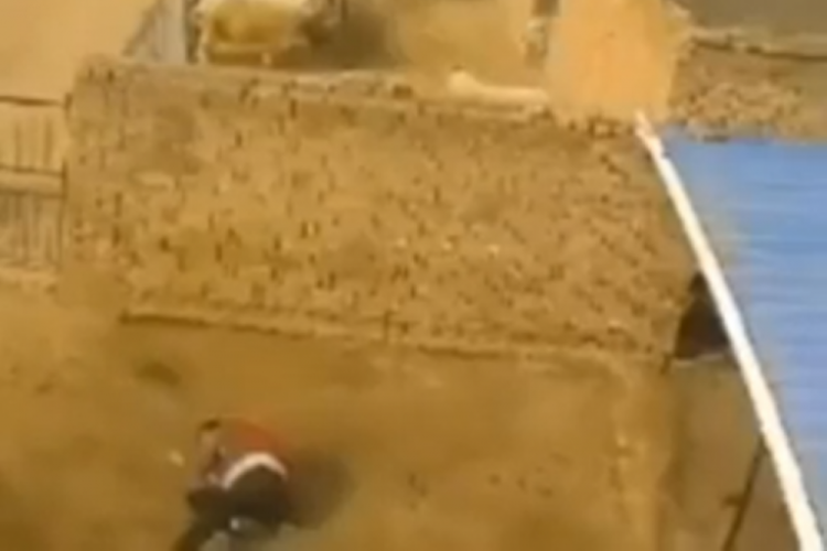 Ko&ccedil; &ccedil;obana saldırdı! &Ccedil;oban hayatını kaybetti