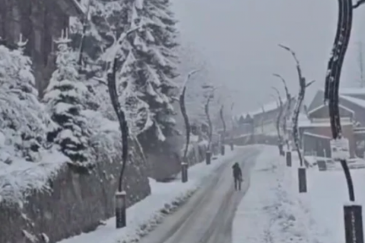 Rize'de ulaşım zorluğu yaşanıyor!