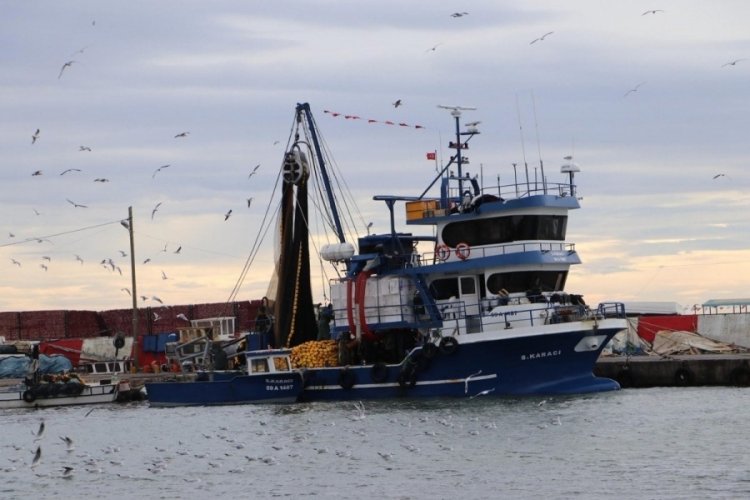 Tekirdağlı balık&ccedil;ılar 12 ton kolyoz yakaladı