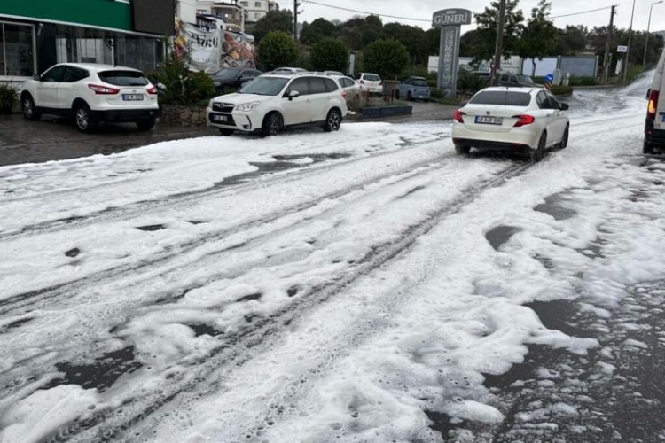 Muğla'da yollardaki beyaz k&ouml;p&uuml;k merak uyandırdı