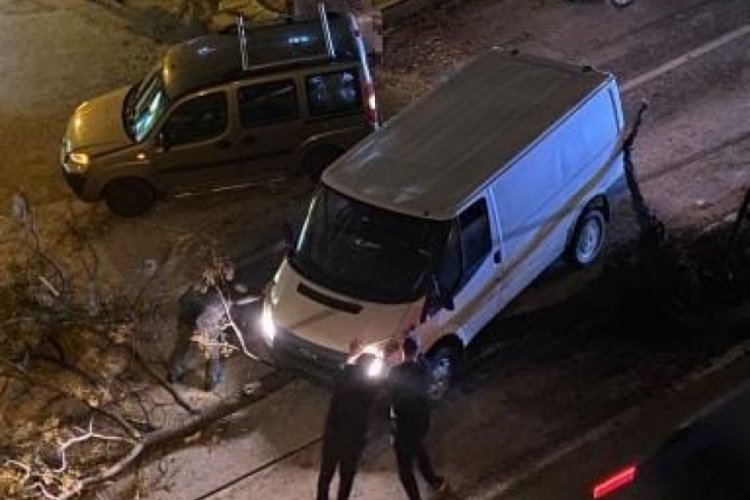 Bursa'da devrilen ağaca otomobil &ccedil;arptı