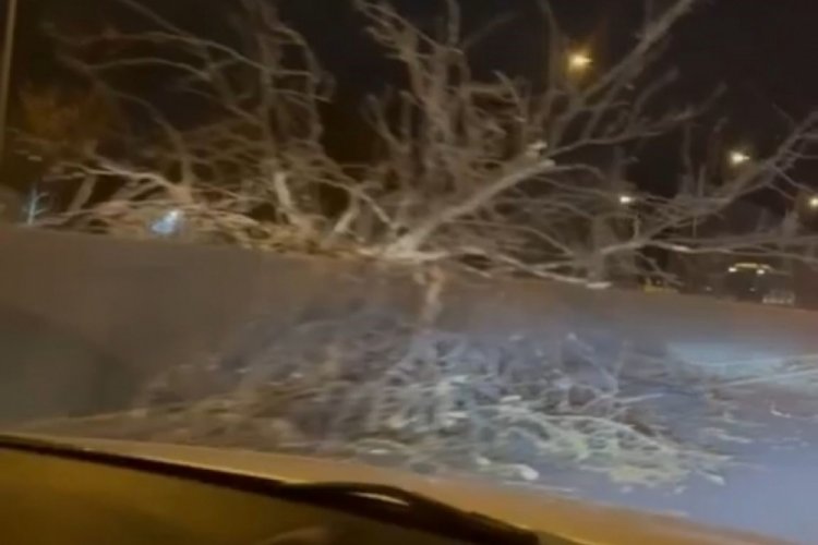 Bursa'da metro raylarına ağa&ccedil; devrildi
