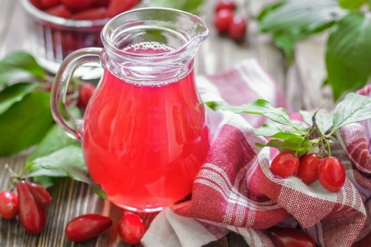 Kızılcık meyvesi nedir? Kızılcık şerbeti nasıl yapılır?