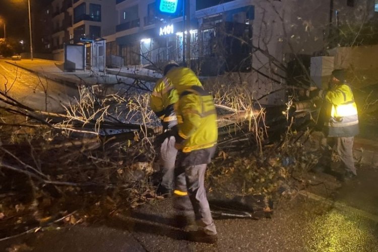 Bursa'da lodosa karşı &ouml;nlemlerle mağduriyetlerin &ouml;n&uuml;ne ge&ccedil;iyor