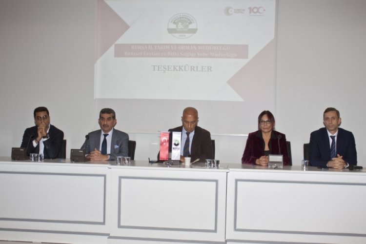 Bursa'da pestisit kullanımı y&uuml;ksek