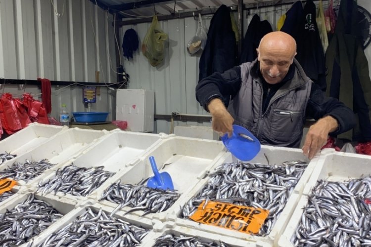 Zonguldak'ta hamsinin ucuz olması vatandaşın ilgisini arttırdı