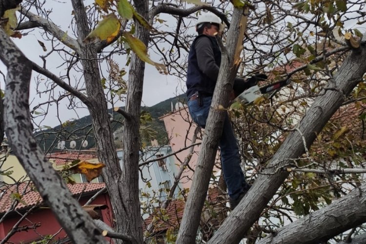 Bursa'da devrilen ağa&ccedil;ları ve &ccedil;atıları kaldırmak i&ccedil;in yoğun mesai