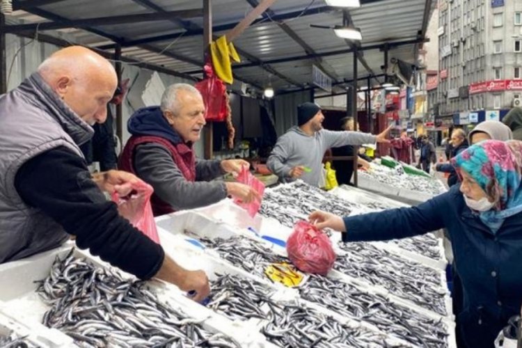 Balık fiyatları d&uuml;şt&uuml;