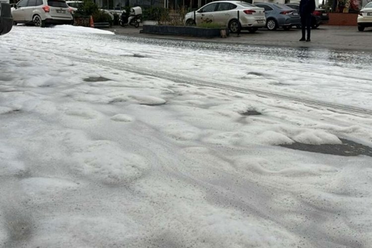 Muğla'da merak uyandıran beyaz k&ouml;p&uuml;ğ&uuml;n nedeni belli oldu!