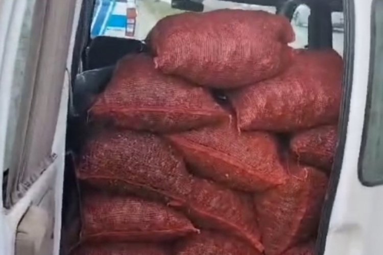 Samsun'da ka&ccedil;ak 20 &ccedil;uval kara kıllı midye ele ge&ccedil;irildi
