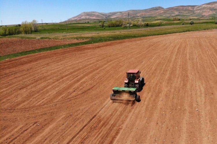 "&Ccedil;iftlik Muhasebe Veri Ağı"na kaydolan işletmelere bin lira destek verilecek