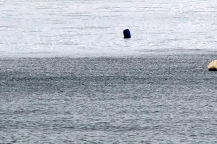 Marmara'da deprem sonrası denizde k&ouml;p&uuml;kleşme