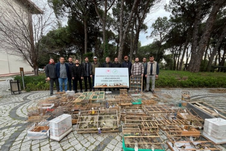 İstanbul'da satılan avlanması yasak kuşlara el konuldu!