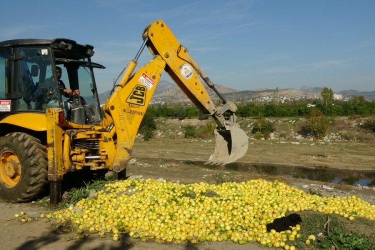 Adana'da dere yatağına d&ouml;k&uuml;len tonlarca limon imha edildi