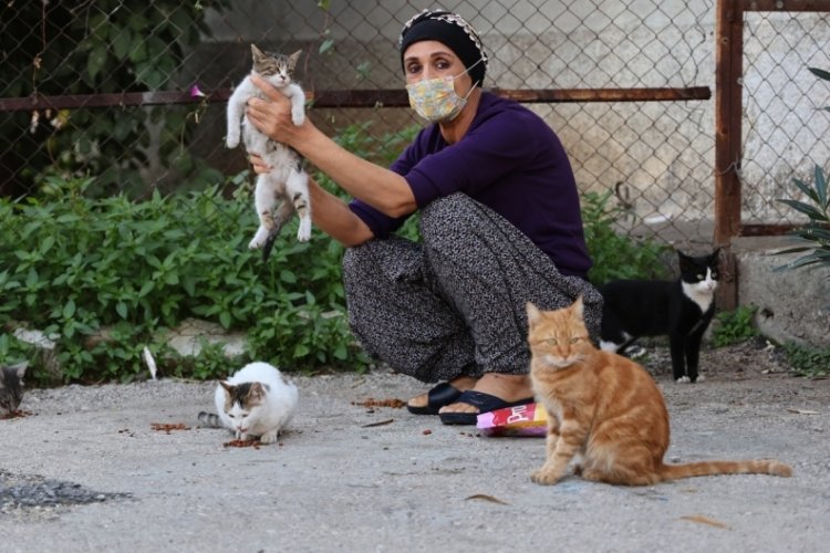 Adana'da kanser hastası, sokak kedilerinin de annesi oldu