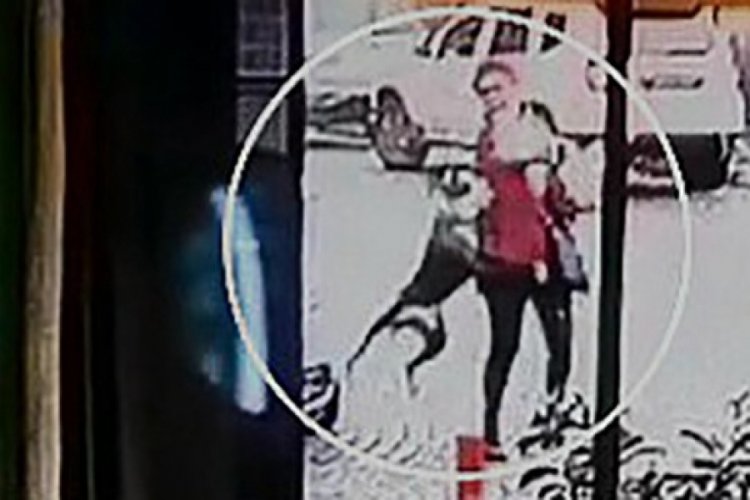 Tekirdağ'da pitbull dehşeti!