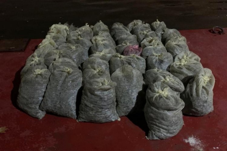 İstanbul'da 1 ton 500 kilo ka&ccedil;ak midye ele ge&ccedil;irildi! 3 g&ouml;zaltı